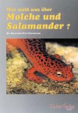 Wer weiß was über Molche und Salamander?