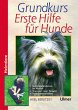Grundkurs Erste Hilfe für den Hund - Bild 1