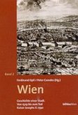 Die frühneuzeitliche Residenz (16. bis 18. Jahrhundert) / Wien, Geschichte einer Stadt 2