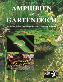 Amphibien am Gartenteich - Saint-Paul, Andrè de;Brand, Ingo;Schmidt, Wolfgang