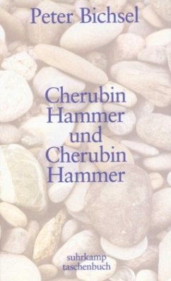Cherubin Hammer und Cherubin Hammer - Bichsel, Peter