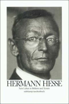 Hermann Hesse - Michls, Volker (Hrsg.)
