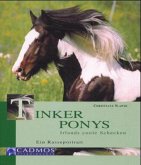 Tinker Ponys