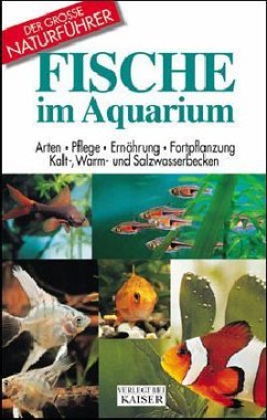Cover Fische im Aquarium
