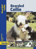 Bearded Collie