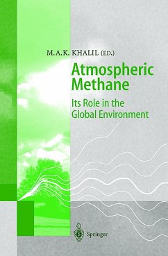 Atmospheric Methane - Khalil, Mohammad Aslam Khan (ed.)