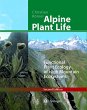 Alpine Plant Life - Bild 1