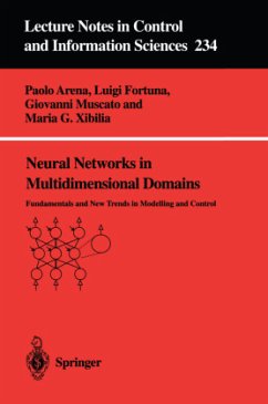 Neural Networks in Multidimensional Domains - Arena, Paolo;Fortuna, Luigi;Muscato, Giovanni