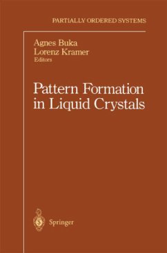 Pattern Formation in Liquid Crystals - Buka