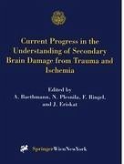Current Progress in the Understanding of Secondary Brain Damage from Trauma and Ischemia - Baethmann, Alexander / Plesnila, Nikolaus / Ringel, Florian / Eriskat, Jörg (eds.)
