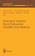 Structured Adaptive Mesh Refinement... - Bild 1