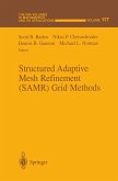 Structured Adaptive Mesh Refinement (Samr) Grid Methods