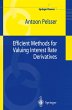 Efficient Methods for Valuing Interest... - Bild 1