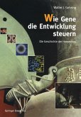 Wie Gene die Entwicklung steuern