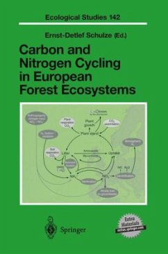 Carbon and Nitrogen Cycling in European Forest Ecosystems, w. CD-ROM - Schulze, Ernst-Detlef (ed.)