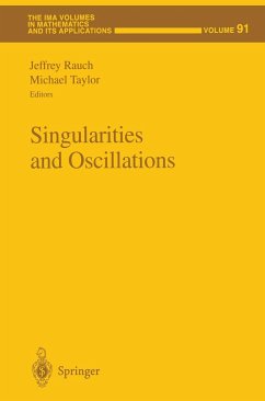 Singularities and Oscillations - Rauch, Jeffrey / Taylor, Michael (eds.)