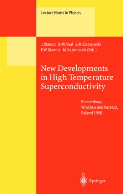 New Developments in High Temperature Superconductivity - Klamut, Jan / Veal, Boyd W. / Dabrowski, Bogdan M. / Klamut, Piotr W. / Kazimierski, Maciej (eds.)