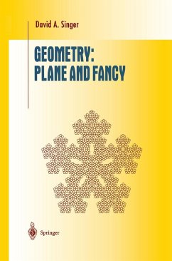 Geometry: Plane and Fancy - Singer, David A.