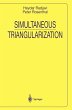 Simultaneous Triangularization - Bild 1