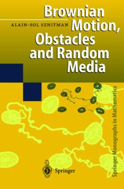 Brownian Motion, Obstacles and Random Media - Sznitman, Alain-Sol