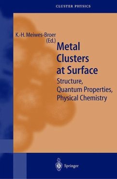 Metal Clusters at Surfaces - Meiwes-Broer, Karl-Heinz (ed.)