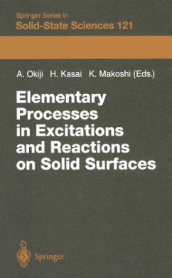 Elementary Processes in Excitations and Reactions on Solid Surfaces - Okiji, Ayao / Kasai, Hideaki / Makoshi, Kenji (eds.)