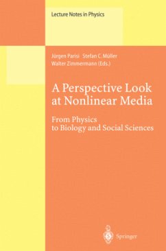 A Perspective Look at Nonlinear Media - Parisi