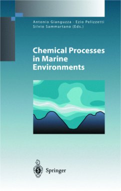 Chemical Processes in Marine Environments - Gianguzza, Antonio / Pelizzetti, Ezio / Sammartano, Silvio (eds.)
