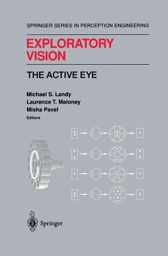 Exploratory Vision - Landy, Michael S. / Maloney, Laurence T. / Pavel, Misha (Hgg.)