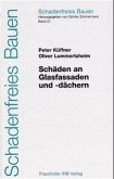 Schäden an Glasfassaden und -dächern. Schäden an Glasfassaden und -dächern.