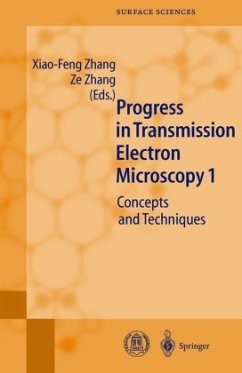 Progress in Transmission Electron Microscopy 1 / Progress in Transmission Electron Microscopy Vol.1 - Zhang, Xiao-Feng / Zhang, Ze (eds.)