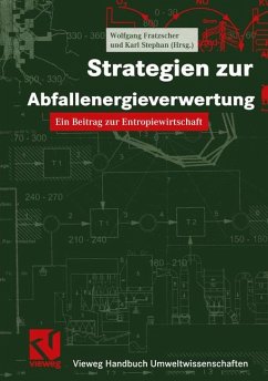 Strategien zur Abfallenergieverwertung