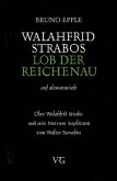 Walahfrid Strabo, Lob der Reichenau