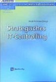 Strategisches IT-Controlling