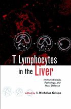 Cover T Lymphocytes in the Liver