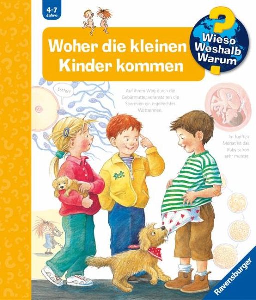 Woher die kleinen Kinder kommen / Wieso? Weshalb? Warum? Bd.13 von Doris  Rübel portofrei bei bücher.de bestellen