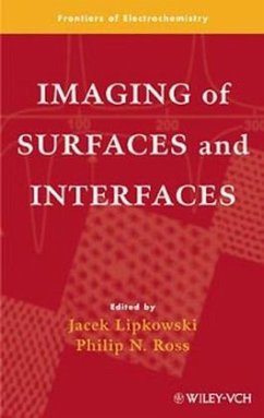 Imaging of Surfaces and Interfaces - Lipkowski, Jacek / Ross, Philip N. (Hgg.)