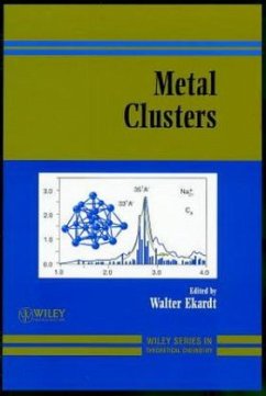 Metal Clusters - Ekardt, Walter