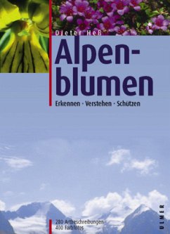 Alpenblumen - Heß, Dieter