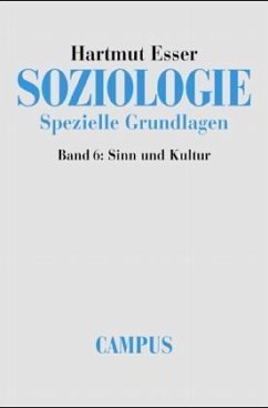 Sinn und Kultur / Soziologie, Spezielle Grundlagen 6 - Esser, Hartmut