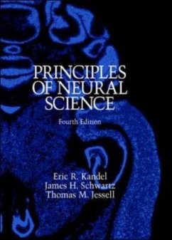 Principles of Neural Science - Kandel, Eric R. / Schwartz, James H. / Jessell, Thomas M.