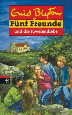 Fünf Freunde und die Juwelendiebe / Fünf Freunde Bd.24 - Blyton, Enid