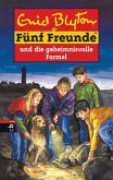 Fünf Freunde und die geheimnisvolle Formel / Fünf Freunde Bd.25 Fünf Freunde und die geheimnisvolle Formel / Fünf Freunde Bd.25