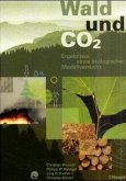 Wald und CO2