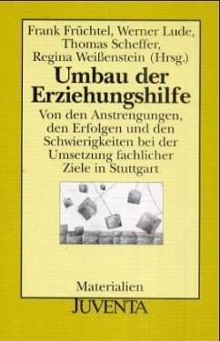 Umbau der Erziehungshilfe - Früchtel, Frank / Lude, Werner / Scheffer, Thomas / Weißenstein, Regina (Hgg.)