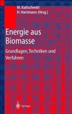 Energie aus Biomasse