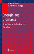 Energie aus Biomasse - Kaltschmitt, Martin / Hartmann, Hans (Hgg.)