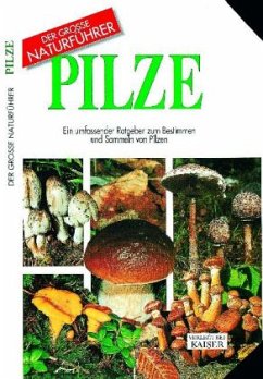 Cover Pilze