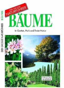 Cover Bäume