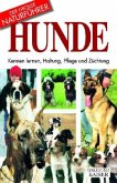 Hunde